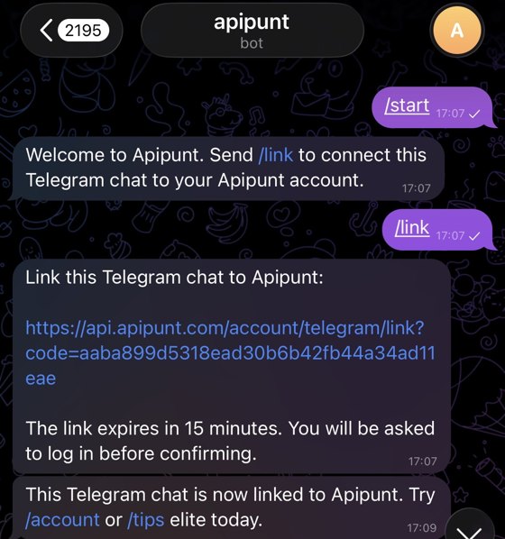 Telegram screenshot showing Apipunt bot link flow